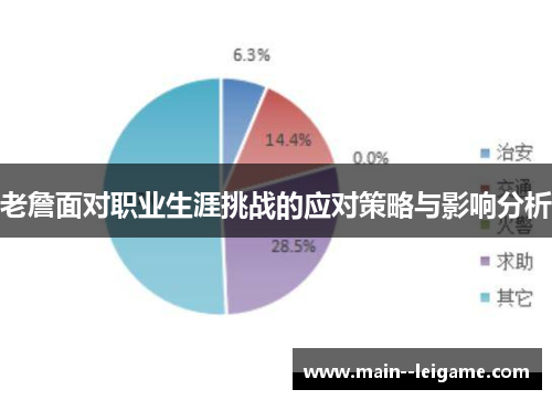 老詹面对职业生涯挑战的应对策略与影响分析