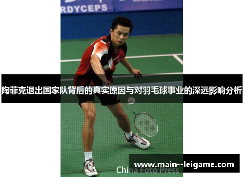 陶菲克退出国家队背后的真实原因与对羽毛球事业的深远影响分析